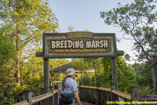 boardwalk entrance